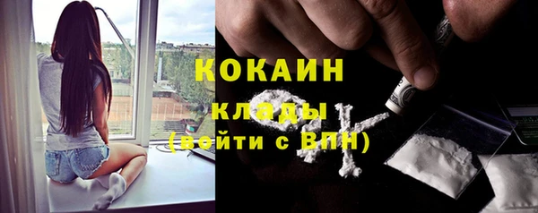 сатива Кулебаки