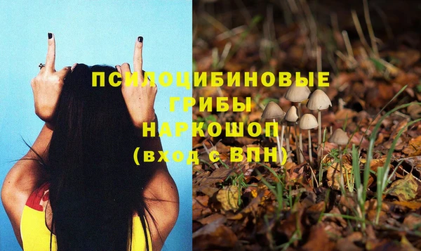 сатива Кулебаки