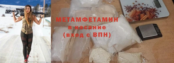 сатива Кулебаки
