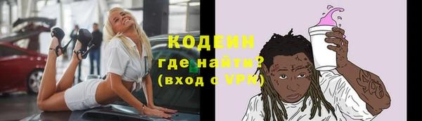 сатива Кулебаки
