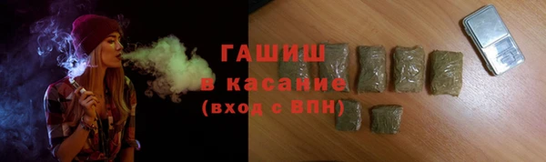 сатива Кулебаки