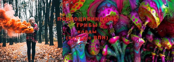 твердый Куйбышев