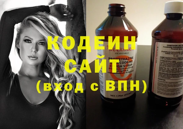 сатива Кулебаки