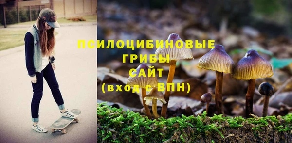 твердый Куйбышев