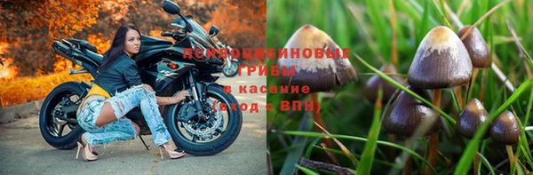 сатива Кулебаки