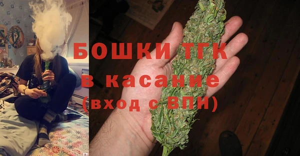 сатива Кулебаки