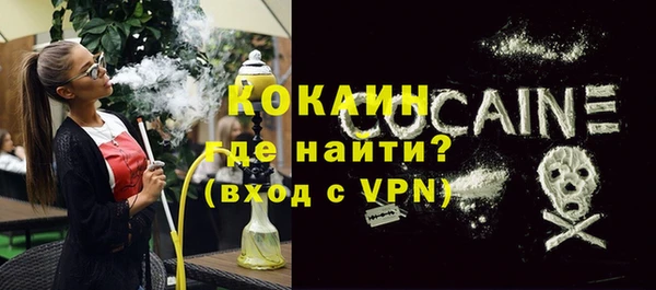 сатива Кулебаки