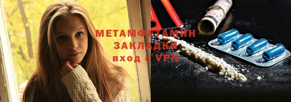 сатива Кулебаки