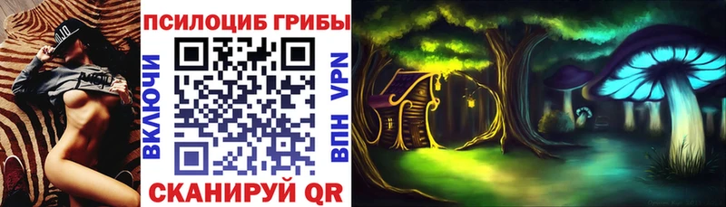 mega ТОР  цена наркотик  shop как зайти  Псилоцибиновые грибы Psilocybine cubensis  Шарья 